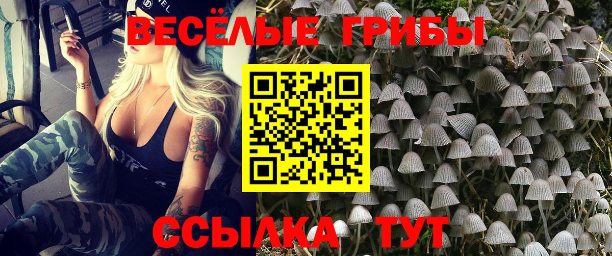 Галлюциногенные грибы мицелий Аксай