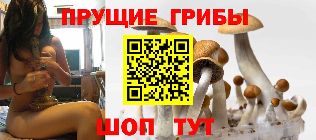 наркошоп  Псилоцибиновые грибы мицелий  Вход с VPN  Аксай 
